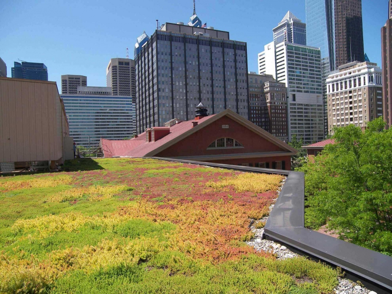 paysagiste-LA BOLLENE VESUBIE-min_green-roof-portfolio-4